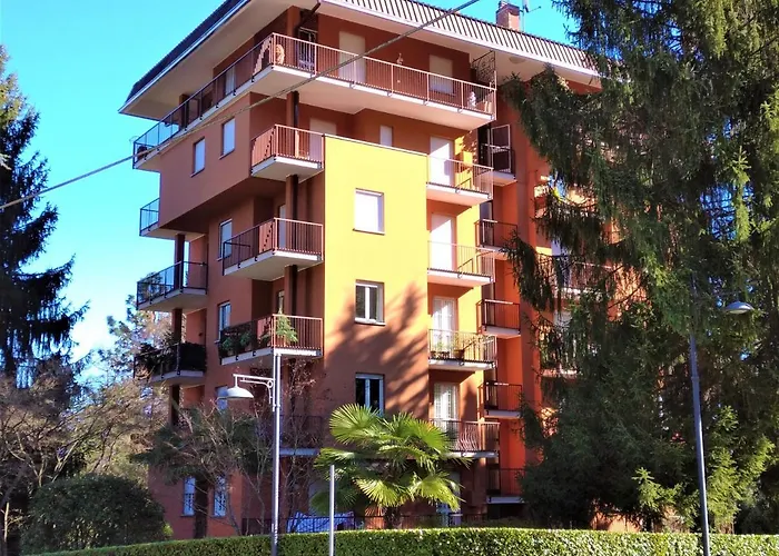 Pettirosso * Stresa